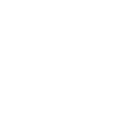 Icon Leaf